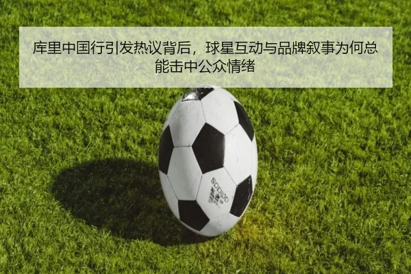 img_1782359046599_4_0_403.jpg - XINGKONG SPORTS app
